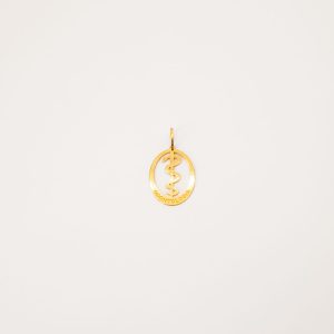 Pingente Oval Curso De Odontologia Com Símbolo Ouro 18k
