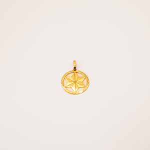 Pingente Redondo Estrela De Davi Ouro 18k