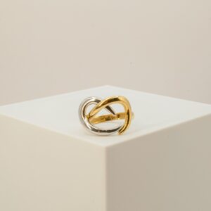 Anel Dois Ouros Ouro 18k